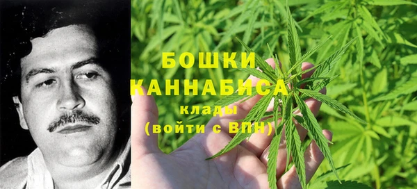 стаф Протвино