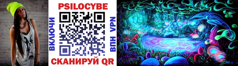 Купить  Заинск  Псилоцибиновые грибы прущие грибы 