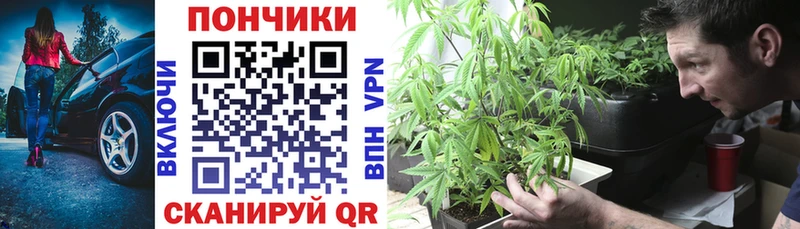 Конопля сатива  Купить закладки  Заинск 